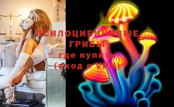 мяу мяу мука Бородино