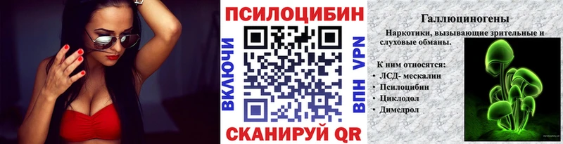 купить  цена  Глазов  MEGA зеркало  Галлюциногенные грибы Psilocybine cubensis 